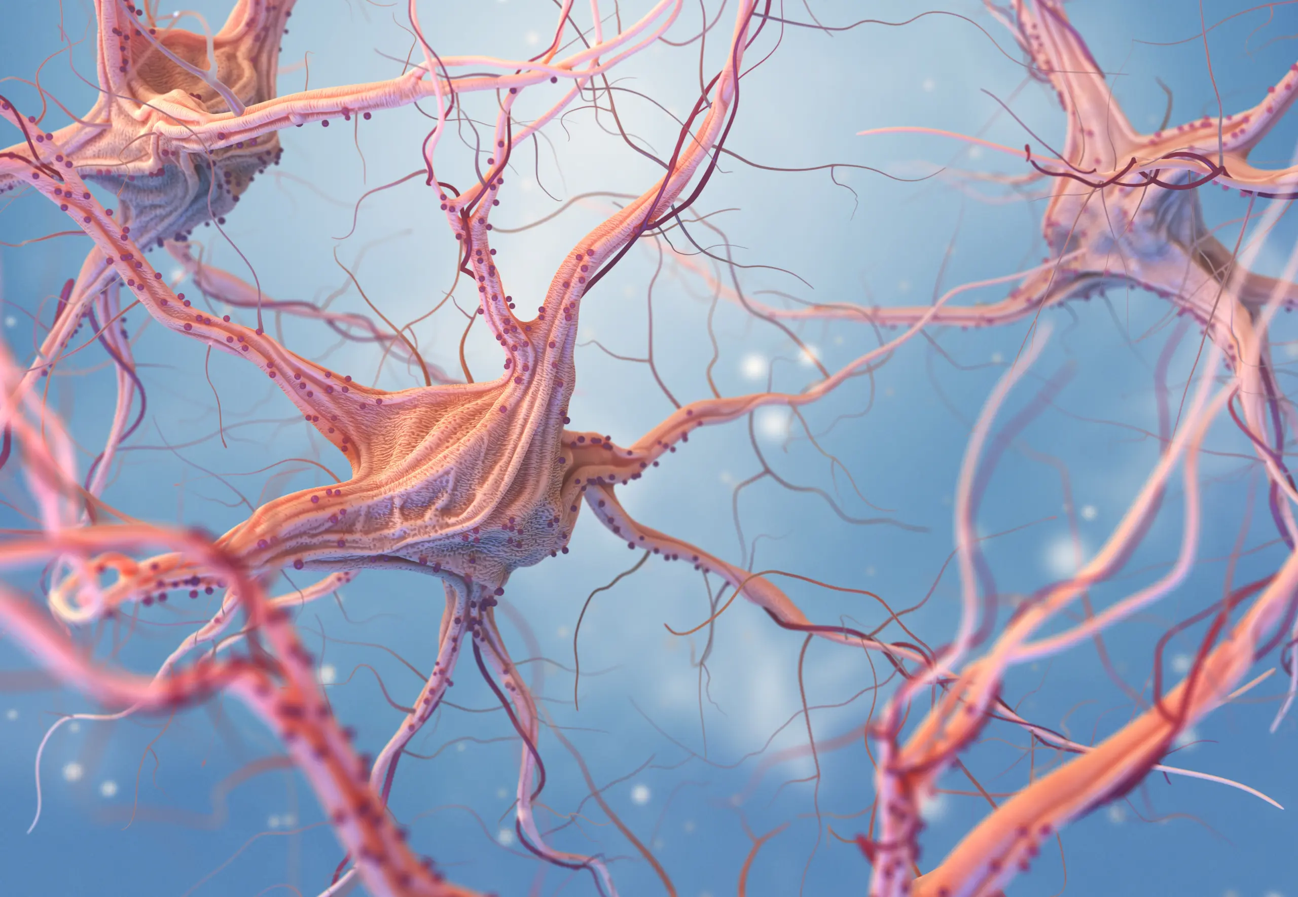 Nerve Injuries Doctor Fairhope Alabama