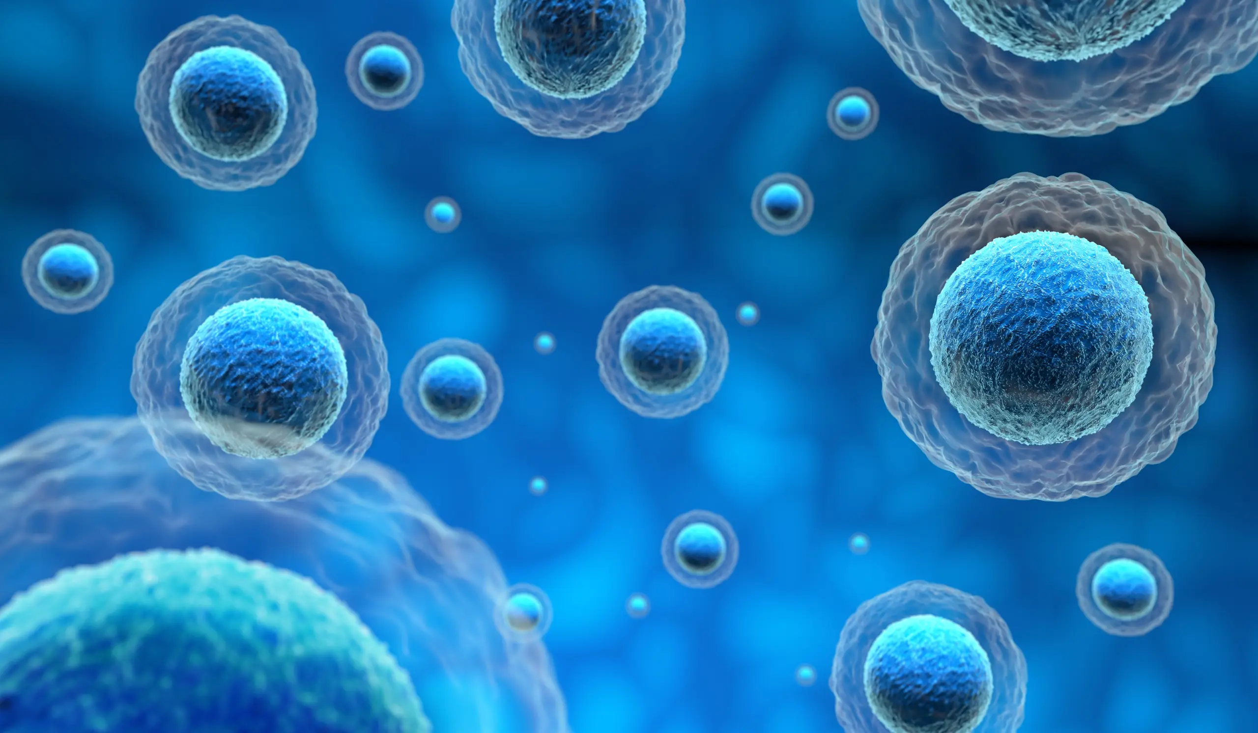 Stem Cells Fairhope Alabama